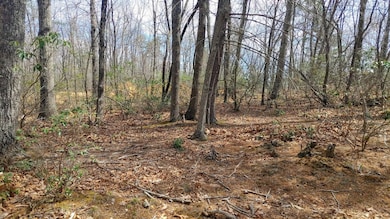 0 Timber Trail Ln unit 923365, Boone, VA 24101 - photo 4