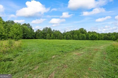 0 Creekview Dr unit 10545628, Madison, GA 30650 - photo 4