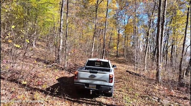 0 Robinson and Fox Rd, South Canaan, PA 18459 - photo 4