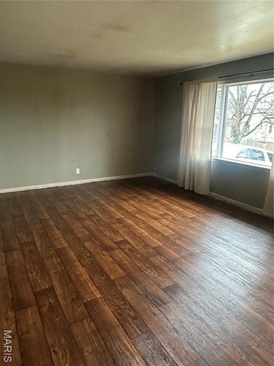 904 N Lafayette St, Doniphan, MO 63935 - photo 2