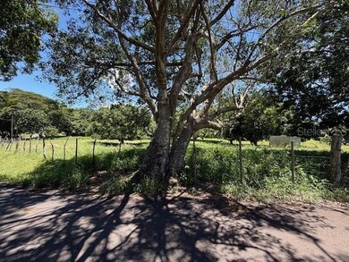 0 unit MFRPR9117243, Cabo Rojo, PR 00623 - photo 2