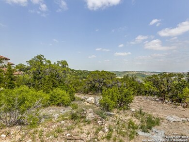 19203 Terra Rock, San Antonio, TX 78255 - photo 5