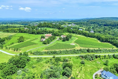 40954 Canter Ln, Paeonian Springs, VA 20129 - photo 3