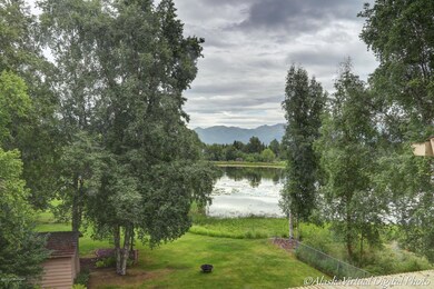 Tree framed views