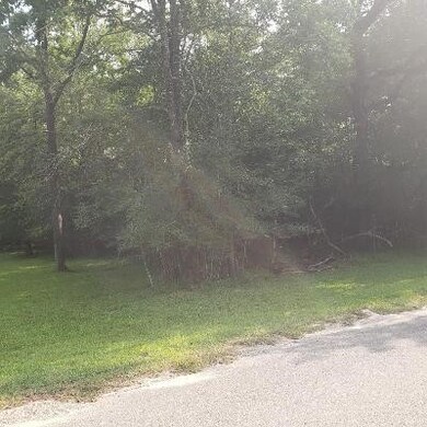 15914 Lone Shadow Tr, Stagecoach, TX 77355 - photo 3