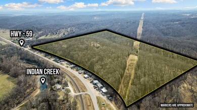 EnlargedDroneView