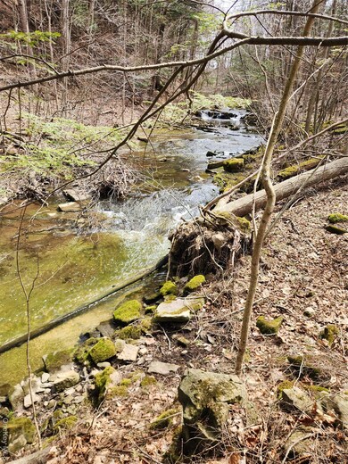 0 Moyer Rd, Root, NY 12166 - photo 7