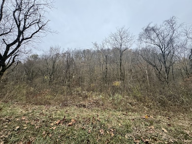 0 Pine Lick Rd unit RTC3043362, Whitleyville, TN 38588 - photo 3