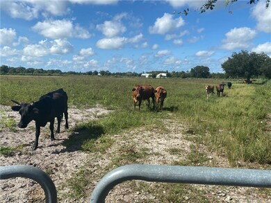 3400 Packinghouse Rd unit 3, Alva, FL 33920 - photo 7