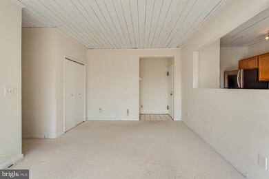 51 Skyhill Rd unit 303, Alexandria, VA 22314 - photo 3