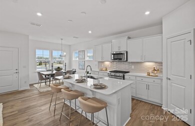 3637 Edisto Place unit 119, Monroe, NC 28110 - photo 3