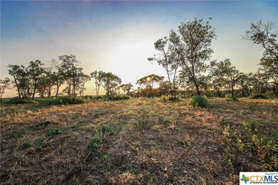 10113 Waterview Cove, Moody, TX 76557 - photo 7