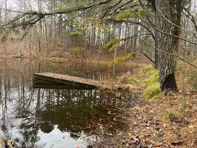 0 Askins Rd unit LotWP001, Fordsville, KY 42343 - photo 4