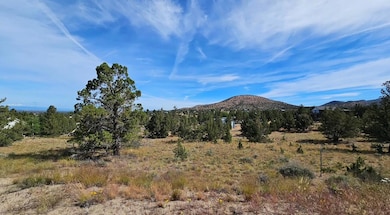 image0 (4)