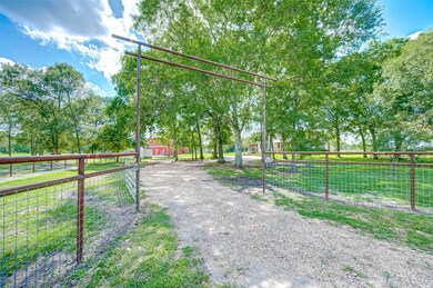 13930 Tierra Grande Dr, Needville, TX 77461 - photo 5