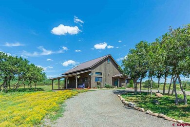 1971 Sheep Springs, Durango, CO 81301 - photo 4