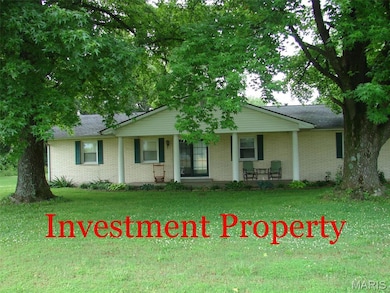 715 W Broadway St, Sparta, IL 62286 - photo 3