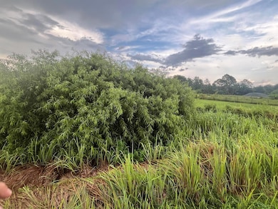 0 E State Road 60 unit R11004766, Yeehaw, FL 34972 - photo 6