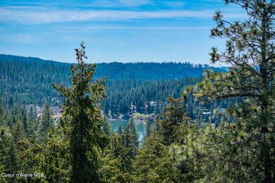 6339 S Cormorant Ct, Harrison, ID 83833 - photo 4