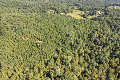 0 Mertie Rd unit 1194704, Wilbar, NC 28651 - photo 6