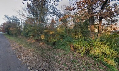 Tahiti Dr, Jefferson, TX 75657 - photo 5