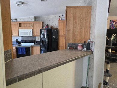 20240404_151000_resized