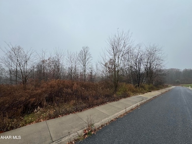 731 Brush Oaks Dr, Greenwood, PA 16602 - photo 2