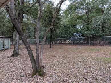 Whitacre Back yard 2
