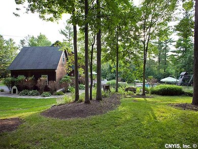 Backyard.