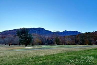 128 W Lake Dr S unit 505, Lake Lure, NC 28746 - photo 4