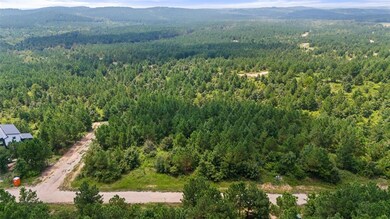 411 Kaisley Blue Eye Way, Broken Bow, OK 74728 - photo 3