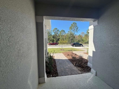 2818 Raindrop Run St, Clermont, FL 34714 - photo 2