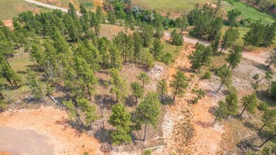 0 Stardust Pass, Northeast Fall River, SD 57747 - photo 6