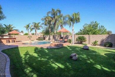 Backyard.jpg