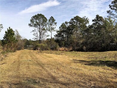 4670 Kola Rd, New Smyrna Beach, FL 32168 - photo 2
