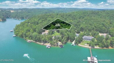 00 Cove Pointe Rd, Lafollette, TN 37766 - photo 5
