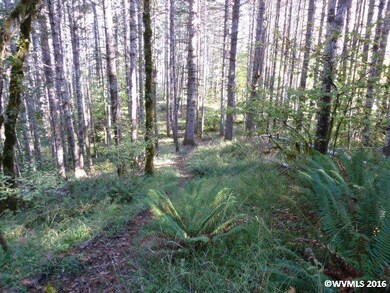 24293 Columbine Dr, Philomath, OR 97370 - photo 5