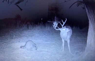 Roger Mills known for large deer!