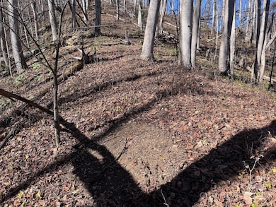 15 +/- Acres Riddle Branch Rd, Burnsville, NC 28714 - photo 7