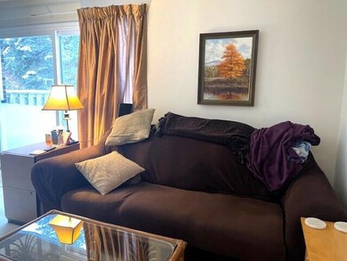 Living Area 2