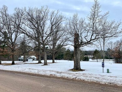 Lot 11 25-25 1 4 St St, Chetek Township, WI 54728 - photo 7