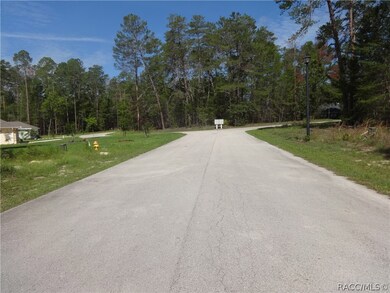 3 Viola Ct, Homosassa, FL 34446 - photo 5