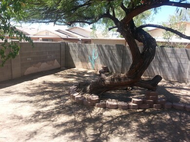 back yard 3