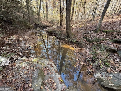 0 Thurman Baccus Rd unit 10647779, Social Circle, GA 30025 - photo 6