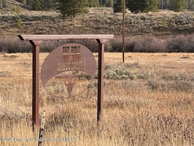 TBD Wiffle Tree Trail, Oak Creek, CO 80467 - photo 2