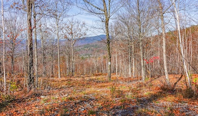Lot 2 Mine Rd, Stoneham, ME 04231 - photo 2