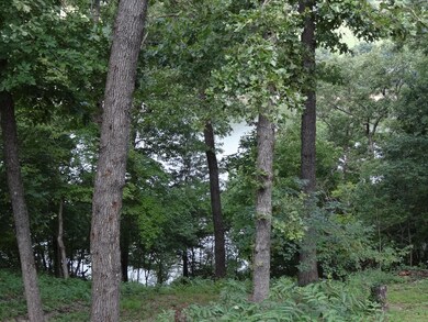 DSC06390