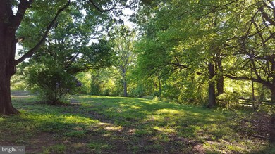 5373 Orchid Ln, Warrenton, VA 20187 - photo 7