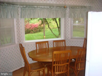 1115 Kathryn Rd, Silver Spring, MD 20904 - photo 5