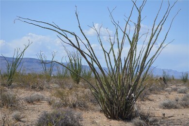 D4 Rose Well Rd, Yucca, AZ 86438 - photo 6
